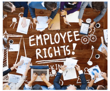 employee rights